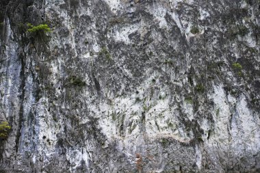 arka plan için karanlık duvar dokusu