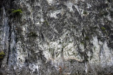 arka plan için karanlık duvar dokusu