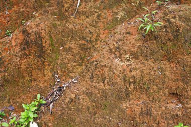 Laterite toprak arka plan detay