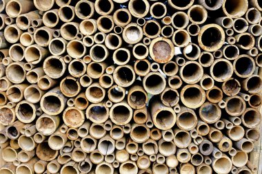 Bambu zemin üzerine dilim çapraz