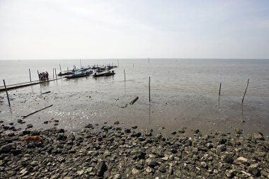 Don Hoi çok, Samut Songkhram il, Tayland, Hollanda beach