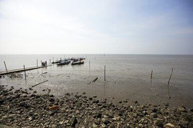 Don Hoi çok, Samut Songkhram il, Tayland, Hollanda beach