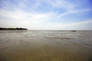 Don Hoi çok, Samut Songkhram il, Tayland, Hollanda beach
