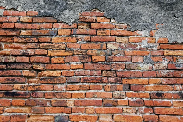 Fondo de pared de ladrillo — Foto de Stock