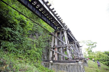 Tren geçerken bir satýr kırsal Tayland.