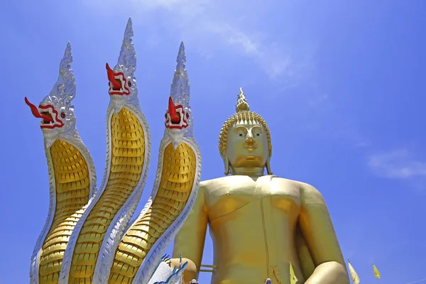 Boeddha in Wat Muang tempel — Stockfoto