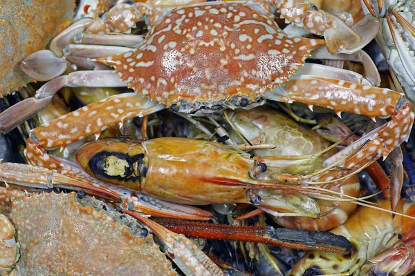 Steamed crab — Stock Photo, Image