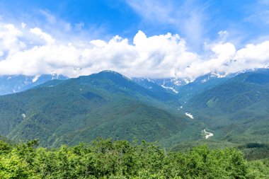 Yeşil orman ve bulutlu dağ manzarası