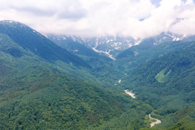 Dağ orman havadan görünümü