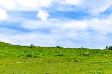 Güzel manzara. doğa arkaplanı