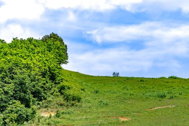 Bir ağaç ve bir dağ ile manzara