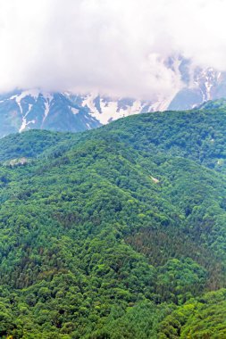 Dağların güzel manzarası