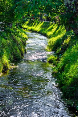 Doğadaki güzel şelale. arkaplan