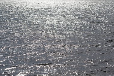 Su yüzeyi arka planı. Akşamları kumsalda deniz dalgaları.