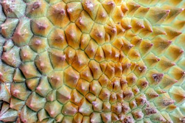 Piyasada ejderha meyvesi