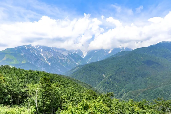 Yeşil dağların Kafkasya'da