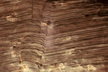 Eski ahşap duvarın arka plan dokusu.