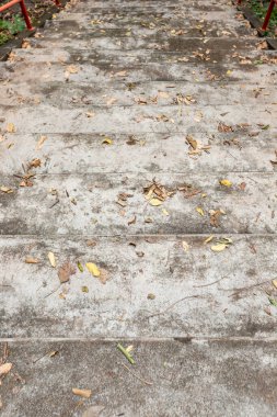 Kırmızı ve beyaz fayansları olan ahşap zemin.