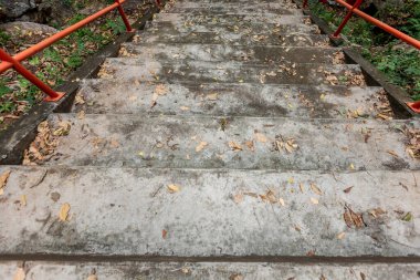 Ormandaki eski ahşap merdiven