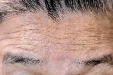 Kahverengi saçlı son sınıf öğrencisi.