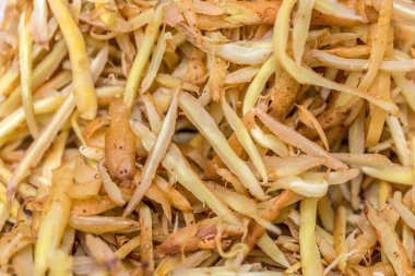 Kurutulmuş zencefil kökü, kapat.