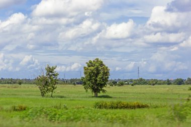 Mavi gökyüzü ile tarlanın güzel manzarası