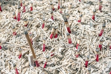 Beyaz arkaplanda bir satırda birçok çivi