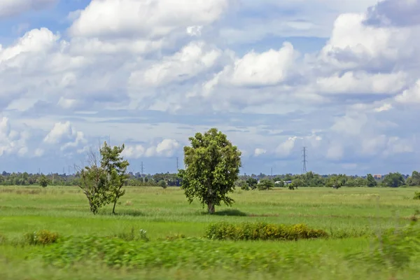 Mavi gökyüzü ile tarlanın güzel manzarası