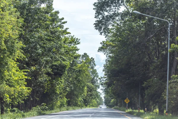 Tayland 'da ağaçlarla birlikte asfalt yol.