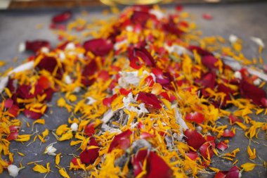 arka plan için kemik parçaları