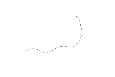 Tek bir kuru saç çizgisi beyaz bir arkaplanda izole edilmiş.