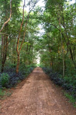 Bu taş duvar için desen taş farklı boyutlarda makyaj