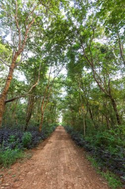 Bu taş duvar için desen taş farklı boyutlarda makyaj