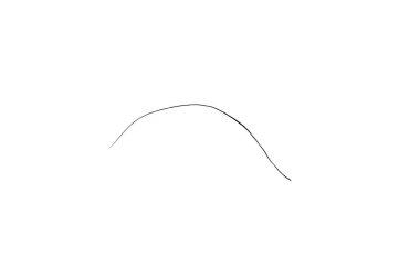 Uzun bir saçın kesintisiz çizimi