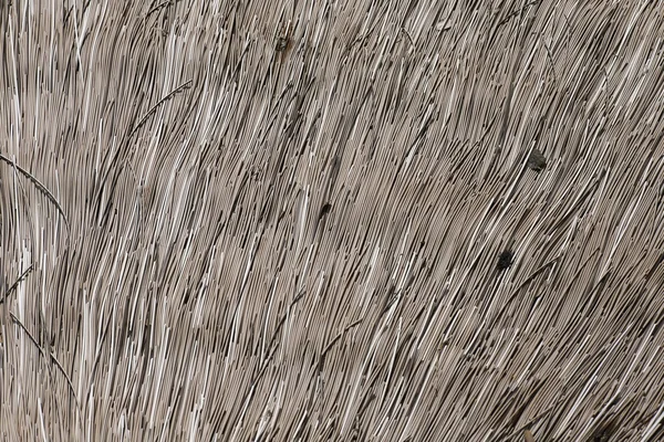 Bambu hantverk konsistens — Stockfoto
