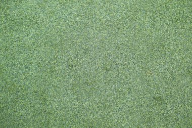 yeşil çimen arkaplan dokusu