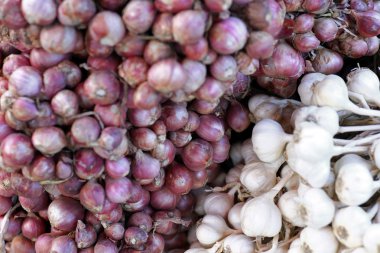 bir grup soğancık soğan