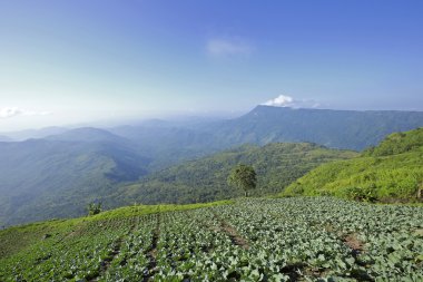 Mountain view yolda Phu Tubberk, Tayland: Phetchabun ilinin turistik Simgesel Yapı ile