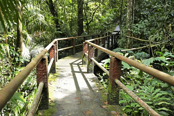 Haew Narok vodopád, Národní park Khao Yai, Thajsko — Stock fotografie