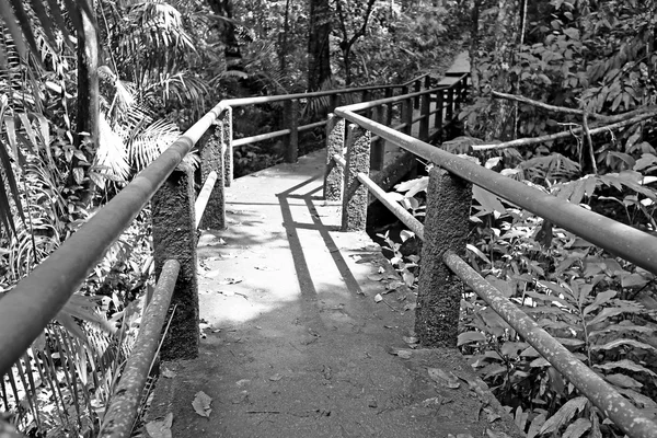 Cascade Haew Narok, parc national de Khao Yai, Thaïlande — Photo