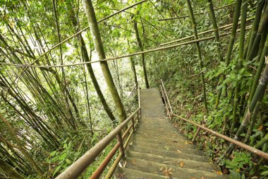 Haew Narok Şelalesi, Khao Yai Ulusal Parkı, Tayland