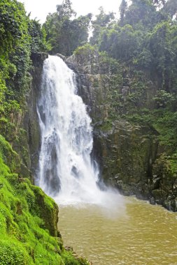 Haew Narok Şelalesi, Khao Yai Ulusal Parkı, Tayland
