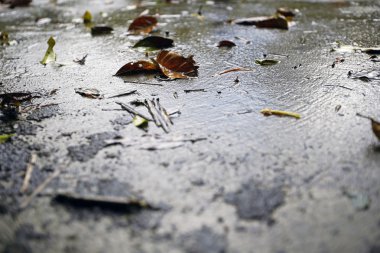 Grunge kökenden için karanlık beton zemin dokusu