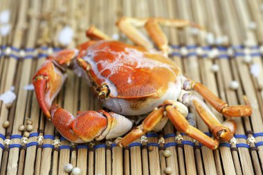 plaka üzerine hazırlanan soyunup Kavrulmuş Yengeç.