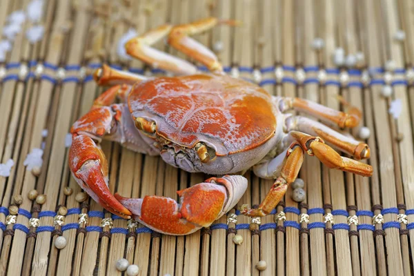 Cangrejos asados sin vestir preparados en platos . — Foto de Stock