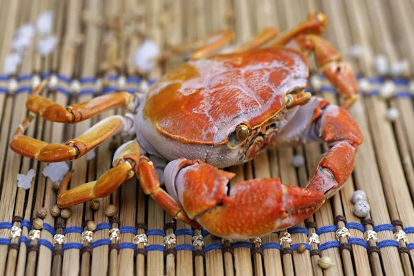 Cangrejos asados sin vestir preparados en platos . — Foto de Stock