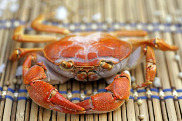 Cangrejos asados sin vestir preparados en platos . — Foto de Stock