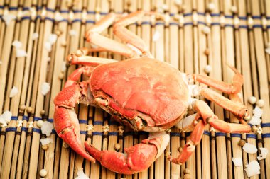 plaka üzerine hazırlanan soyunup Kavrulmuş Yengeç.