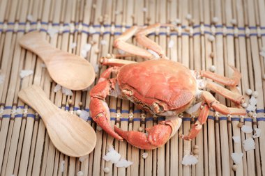 plaka üzerine hazırlanan soyunup Kavrulmuş Yengeç.