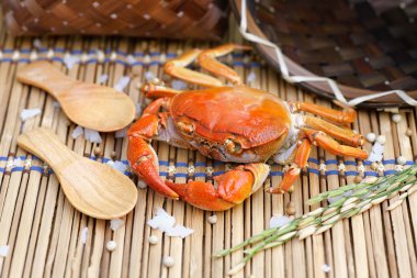 plaka üzerine hazırlanan soyunup Kavrulmuş Yengeç.